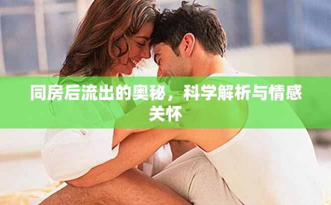 同房后流出的奧秘，科學(xué)解析與情感關(guān)懷