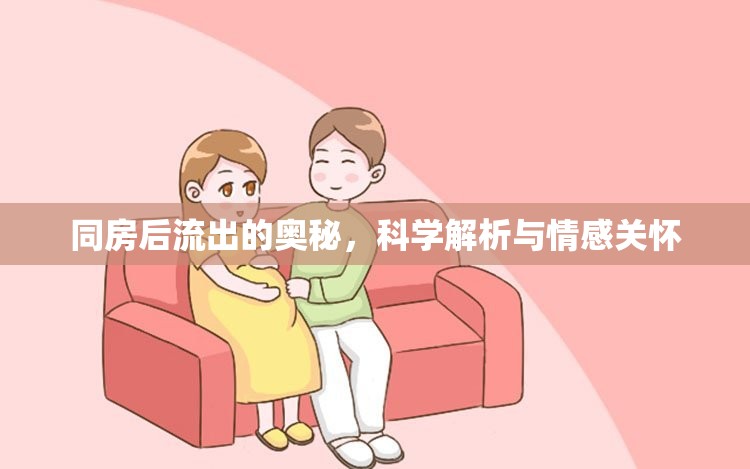 同房后流出的奧秘，科學(xué)解析與情感關(guān)懷