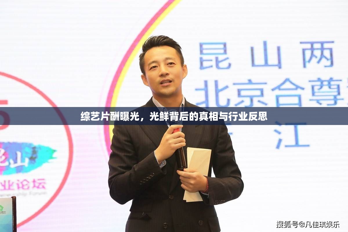 綜藝片酬曝光，光鮮背后的真相與行業(yè)反思