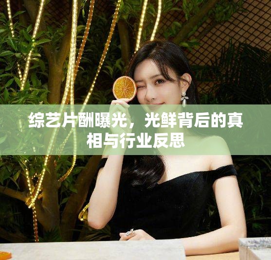 綜藝片酬曝光，光鮮背后的真相與行業(yè)反思
