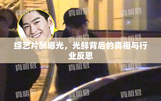 綜藝片酬曝光，光鮮背后的真相與行業(yè)反思