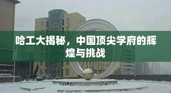 哈工大揭秘，中國頂尖學(xué)府的輝煌與挑戰(zhàn)