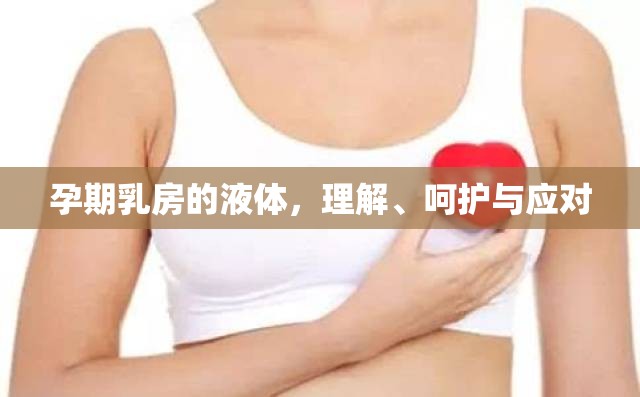 孕期乳房的液體，理解、呵護與應(yīng)對