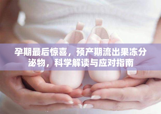 孕期最后驚喜，預(yù)產(chǎn)期流出果凍分泌物，科學(xué)解讀與應(yīng)對指南