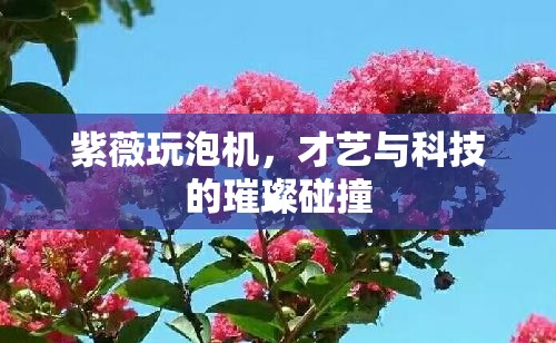 紫薇玩泡機，才藝與科技的璀璨碰撞