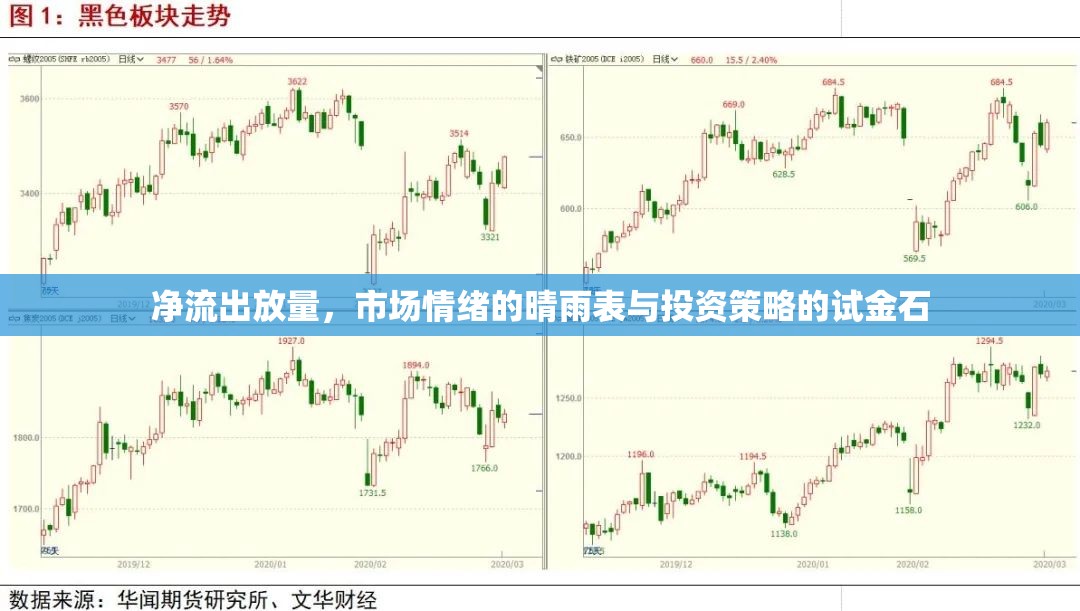 凈流出放量，市場情緒的晴雨表與投資策略的試金石