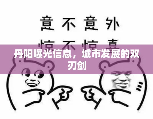 丹陽曝光信息，城市發(fā)展的雙刃劍
