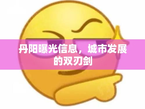 丹陽曝光信息，城市發(fā)展的雙刃劍