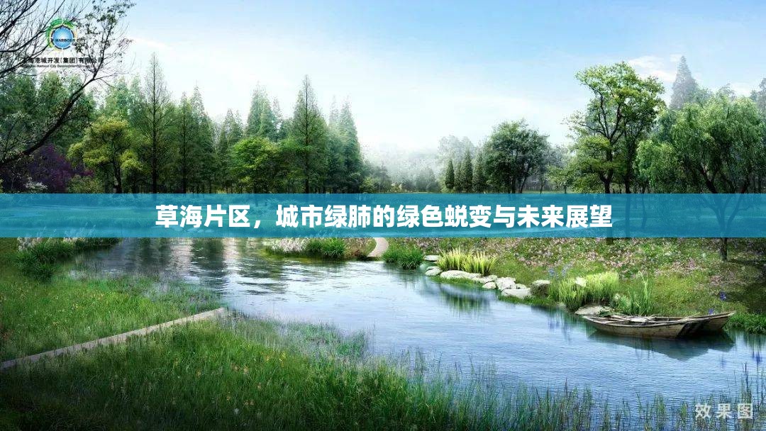 草海片區(qū)，城市綠肺的綠色蛻變與未來(lái)展望