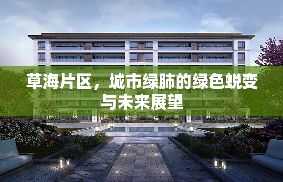 草海片區(qū)，城市綠肺的綠色蛻變與未來(lái)展望