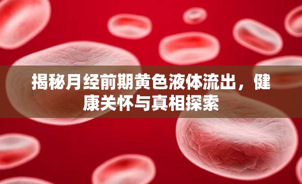 揭秘月經(jīng)前期黃色液體流出，健康關(guān)懷與真相探索