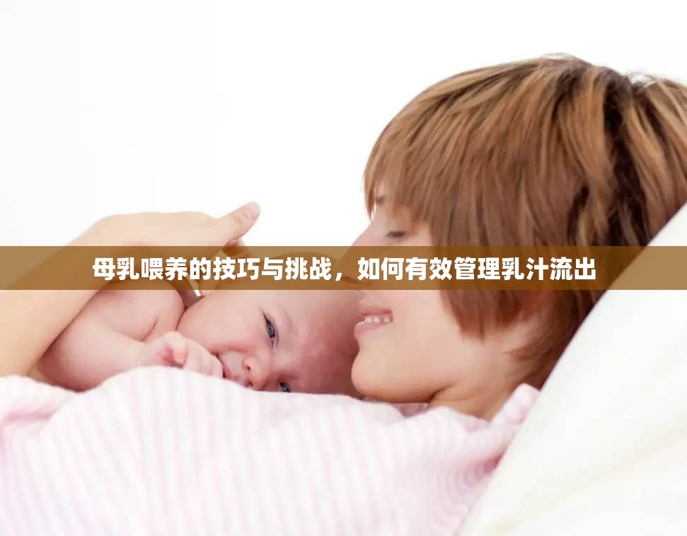 母乳喂養(yǎng)的技巧與挑戰(zhàn)，如何有效管理乳汁流出