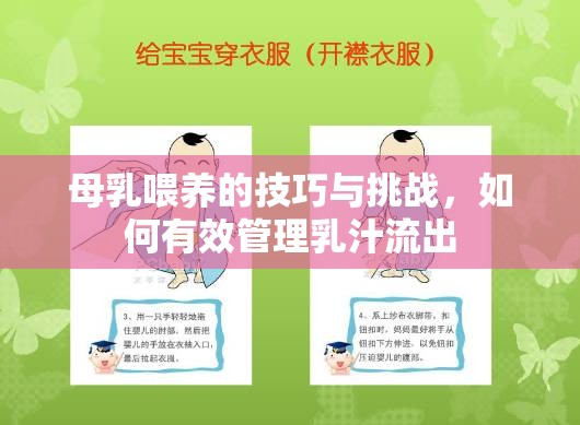 母乳喂養(yǎng)的技巧與挑戰(zhàn)，如何有效管理乳汁流出