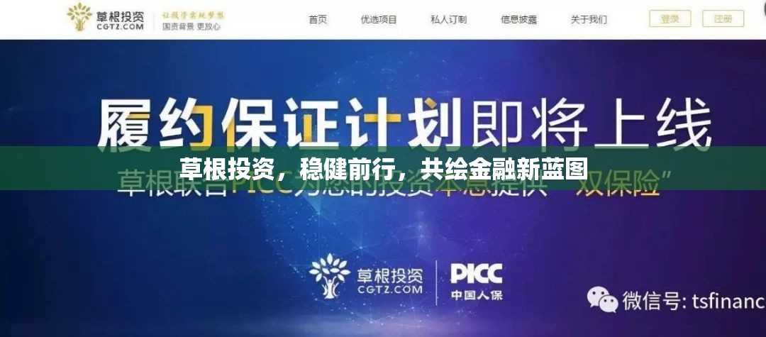 草根投資，穩(wěn)健前行，共繪金融新藍(lán)圖