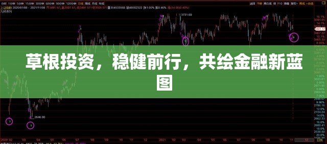 草根投資，穩(wěn)健前行，共繪金融新藍(lán)圖