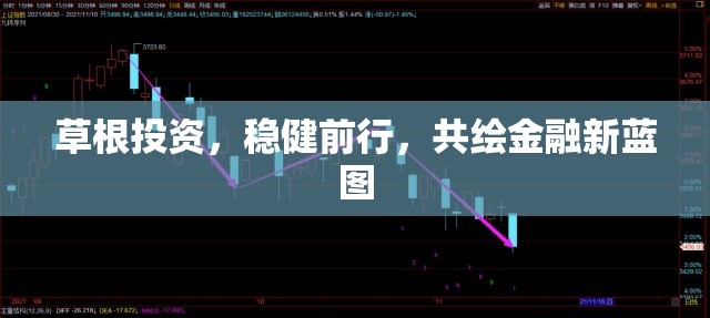 草根投資，穩(wěn)健前行，共繪金融新藍(lán)圖