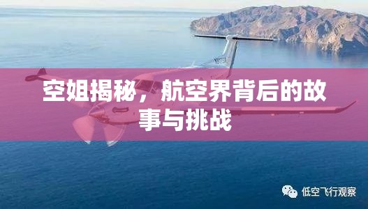 空姐揭秘，航空界背后的故事與挑戰(zhàn)