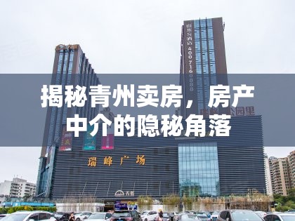 揭秘青州賣房，房產(chǎn)中介的隱秘角落