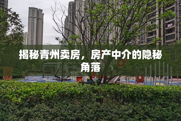 揭秘青州賣房，房產(chǎn)中介的隱秘角落