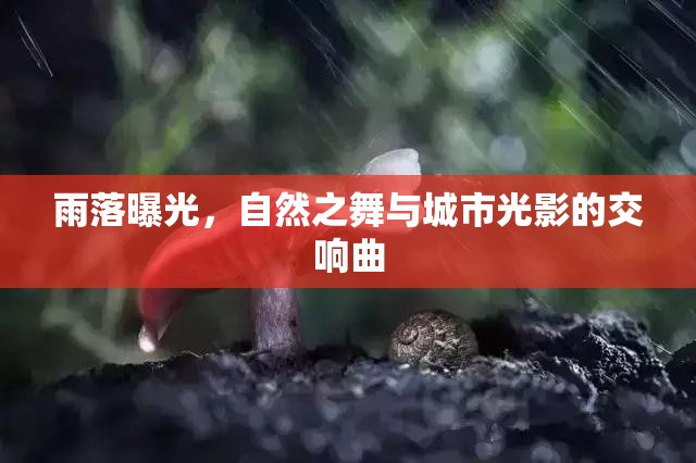 雨落曝光，自然之舞與城市光影的交響曲