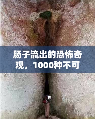腸子流出的恐怖奇觀，1000種不可思議的死亡方式