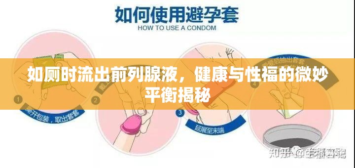 如廁時流出前列腺液，健康與性福的微妙平衡揭秘
