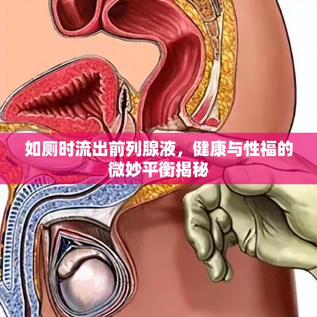 如廁時流出前列腺液，健康與性福的微妙平衡揭秘