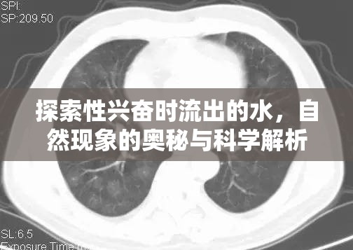 探索性興奮時流出的水，自然現(xiàn)象的奧秘與科學解析