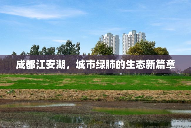 成都江安湖，城市綠肺的生態(tài)新篇章