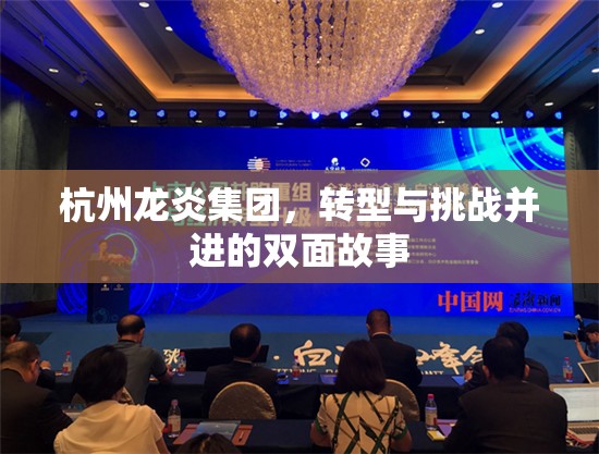 杭州龍炎集團，轉(zhuǎn)型與挑戰(zhàn)并進的雙面故事