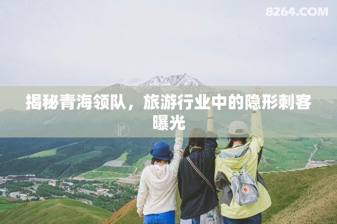 揭秘青海領(lǐng)隊(duì)，旅游行業(yè)中的隱形刺客曝光