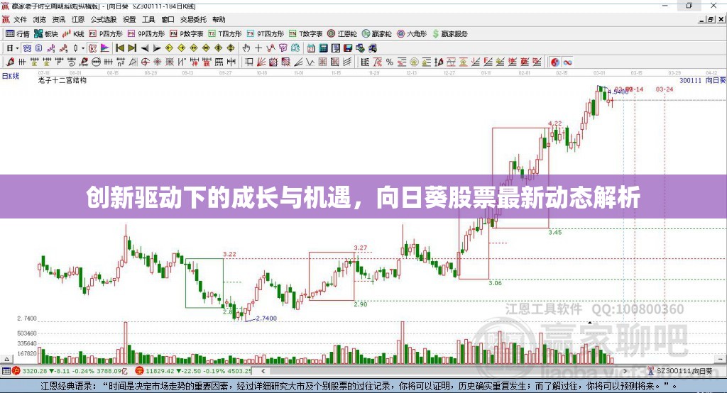 創(chuàng)新驅(qū)動(dòng)下的成長(zhǎng)與機(jī)遇，向日葵股票最新動(dòng)態(tài)解析