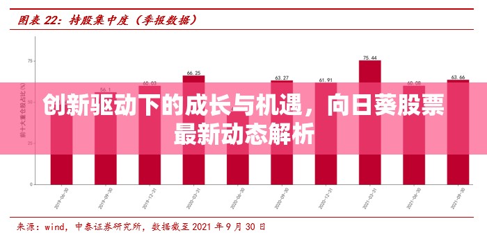 創(chuàng)新驅(qū)動(dòng)下的成長(zhǎng)與機(jī)遇，向日葵股票最新動(dòng)態(tài)解析
