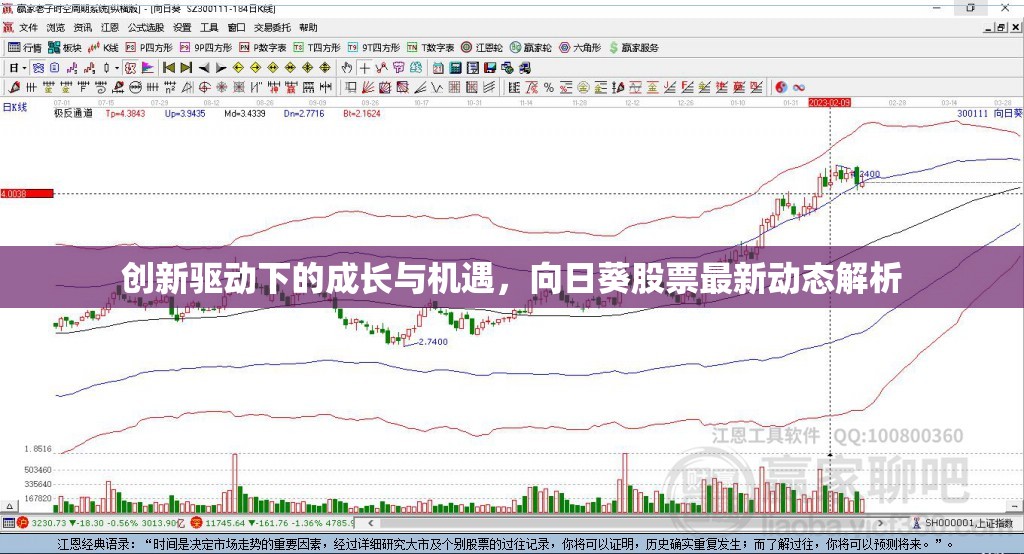 創(chuàng)新驅(qū)動(dòng)下的成長(zhǎng)與機(jī)遇，向日葵股票最新動(dòng)態(tài)解析