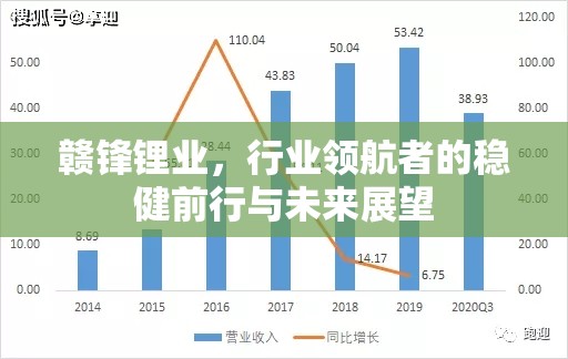贛鋒鋰業(yè)，行業(yè)領(lǐng)航者的穩(wěn)健前行與未來(lái)展望