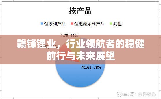 贛鋒鋰業(yè)，行業(yè)領(lǐng)航者的穩(wěn)健前行與未來(lái)展望