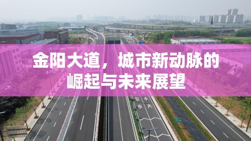 金陽大道，城市新動脈的崛起與未來展望