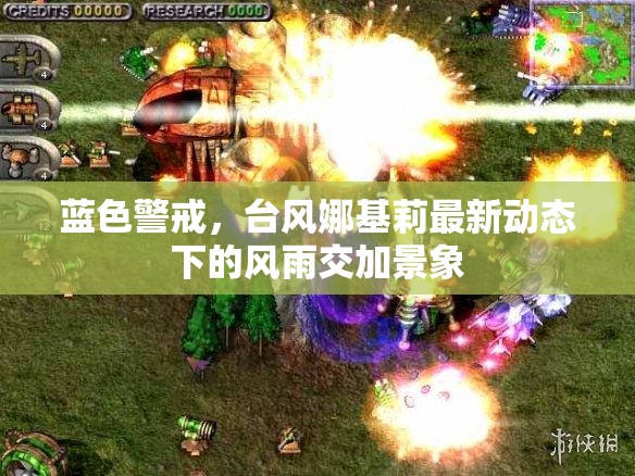 藍(lán)色警戒，臺(tái)風(fēng)娜基莉最新動(dòng)態(tài)下的風(fēng)雨交加景象