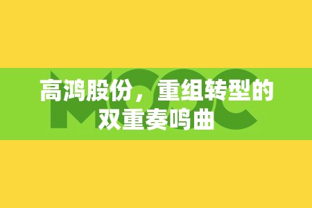 高鴻股份，重組轉(zhuǎn)型的雙重奏鳴曲