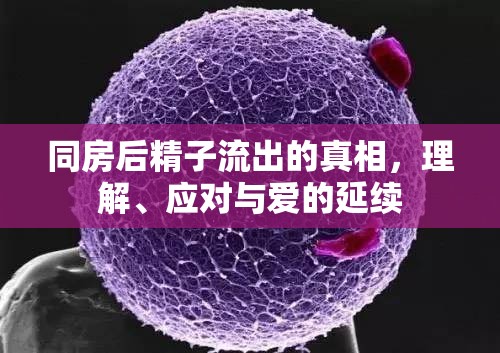 同房后精子流出的真相，理解、應(yīng)對(duì)與愛(ài)的延續(xù)