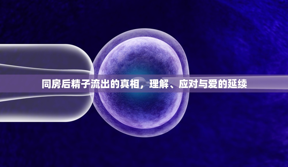 同房后精子流出的真相，理解、應(yīng)對(duì)與愛(ài)的延續(xù)