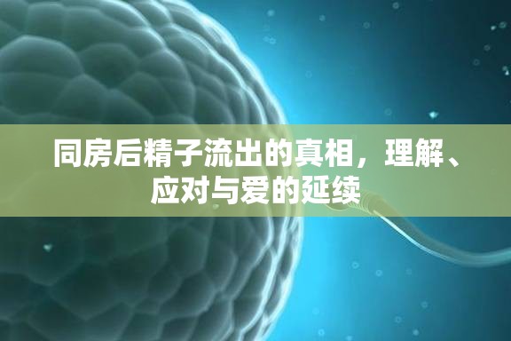 同房后精子流出的真相，理解、應(yīng)對(duì)與愛(ài)的延續(xù)