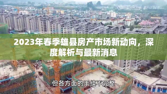 2023年春季雄縣房產(chǎn)市場新動向，深度解析與最新消息