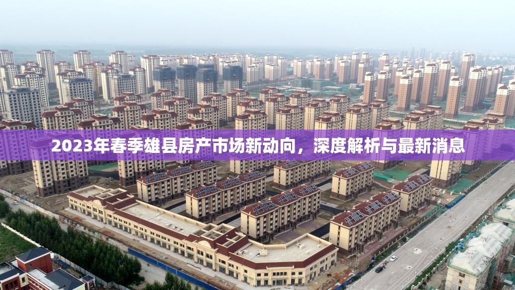 2023年春季雄縣房產(chǎn)市場新動向，深度解析與最新消息
