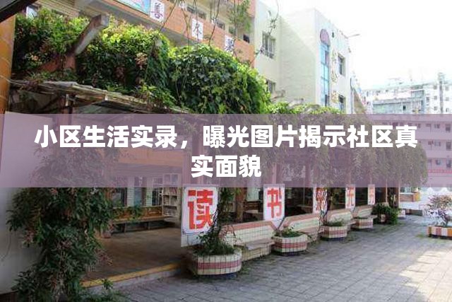 小區(qū)生活實錄，曝光圖片揭示社區(qū)真實面貌