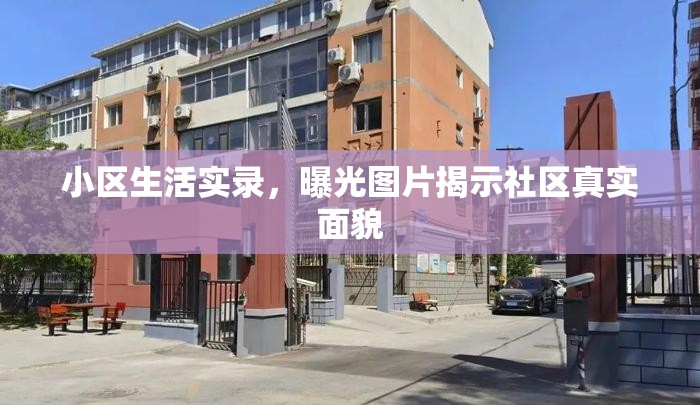 小區(qū)生活實錄，曝光圖片揭示社區(qū)真實面貌