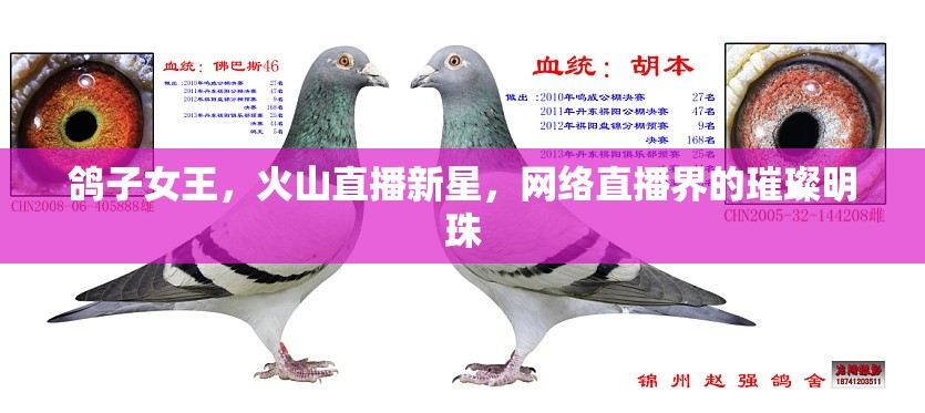 鴿子女王，火山直播新星，網(wǎng)絡(luò)直播界的璀璨明珠
