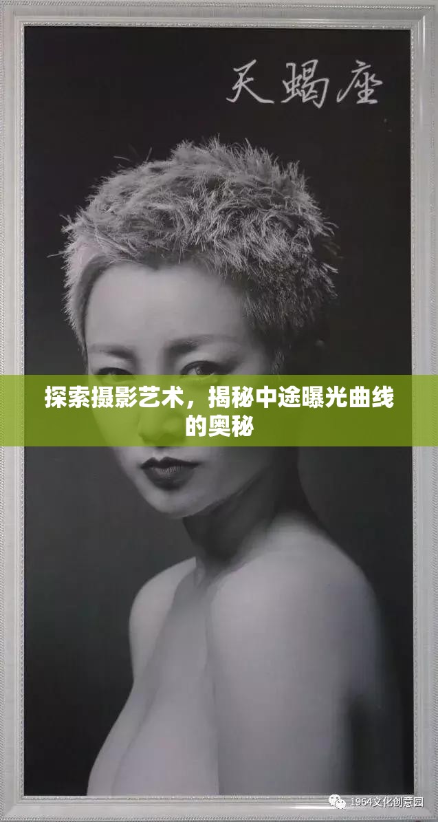 探索攝影藝術(shù)，揭秘中途曝光曲線的奧秘