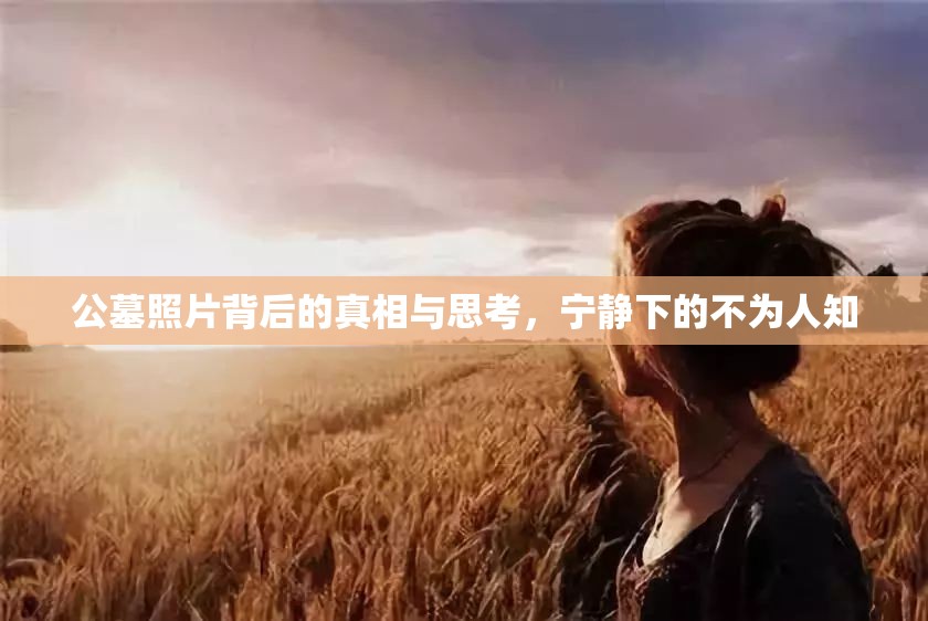 公墓照片背后的真相與思考，寧靜下的不為人知