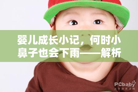 嬰兒成長小記，何時(shí)小鼻子也會(huì)下雨——解析嬰兒鼻涕流出的時(shí)間與意義